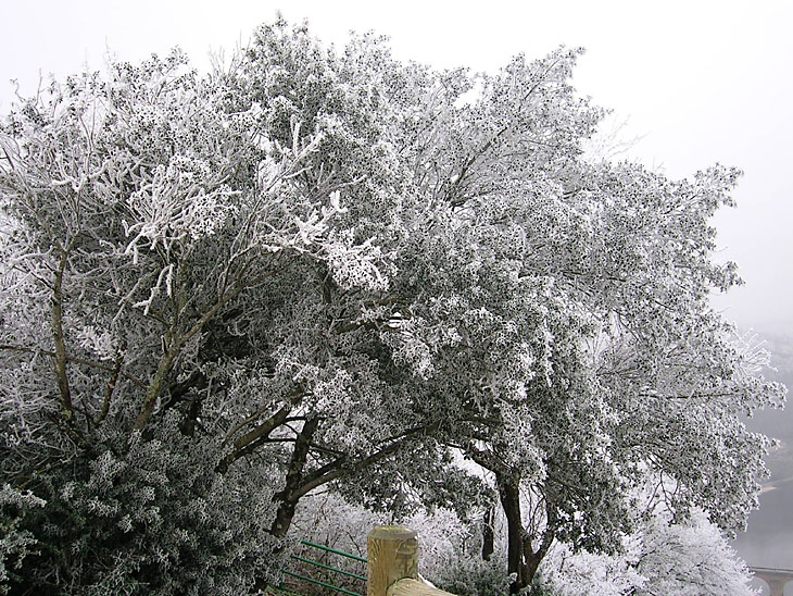 Hiver_02_au -mont-St-Cyr_© Fabienne Mangin.jpg